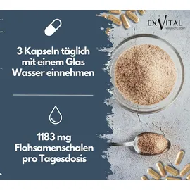 Exvital Colon Ex Kapseln 90 St.