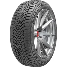 Maxxis Premitra Snow WP6 195/55 R15 89H XL