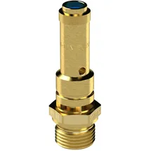 Riegler Sicherheitsventil DN 8 Messing Ansprechdruck 9,5 bar