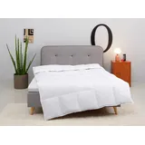 MY HOME Daunenbettdecke Covino, Bettdecke 135x200 cm, 155x220 cm, Füllung: 60% Daunen & 40% Federn, Bezug: 100% Baumwolle, Bettdecke Sommer, Winter, Made in Germany weiß 135 cm x 200 cm