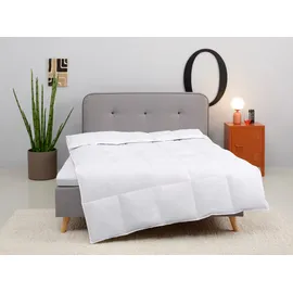 MY HOME Daunenbettdecke Covino, Bettdecke 135x200 cm, 155x220 cm, Füllung: 60% Daunen & 40% Federn, Bezug: 100% Baumwolle, Bettdecke Sommer, Winter, Made in Germany weiß 135 cm x 200 cm