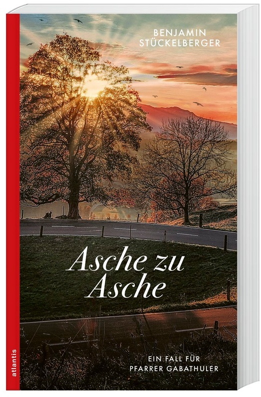 Asche Zu Asche - Benjamin Stückelberger, Kartoniert (TB)