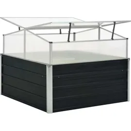 vidaXL Gewächshaus 100 x 100 x 77 cm Anthrazit