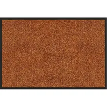 Floordirekt Schmutzfangmatte Rhine Sudan Brown