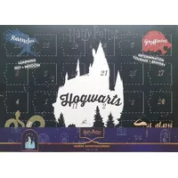 Socken Adventskalender HARRY POTTER Herren Gr. 42-46 -- 12 Paar