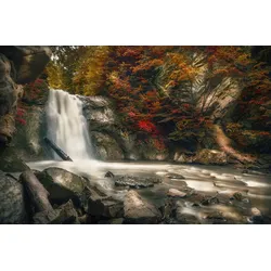 Fototapete PAPERMOON "WASSERFALL-HERBST WALD MEER FLUSS INSEL STEINE BÄUME", bunt, B:4,50m L:2,80m, Vlies, Tapeten
