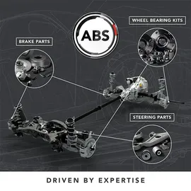 A.B.S. 11171