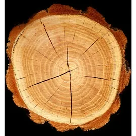 YODEYMA Platinum Eau de Parfum 15 ml