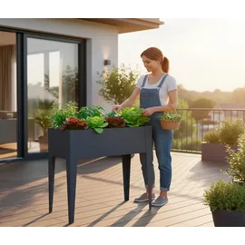 Westmann Vedura S 40 x 74 x 80 cm Anthrazit