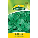 Quedlinburger Feldsalat, Vit