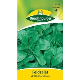 Quedlinburger Feldsalat, Vit