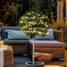 esotec Solar Cluster-Lichterkette mit 200 micro LEDs Draht wetterfest 102581 - Transparent