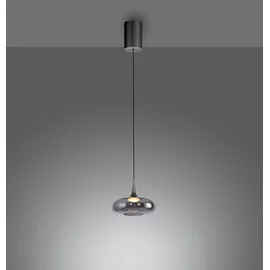Schöner Wohnen Posh 1-flg. dimmbar 22 cm grau Glas