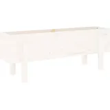vidaXL Hochbeet 101 x 30 x 38 cm Weiß