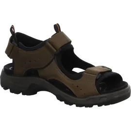 ECCO Offroad Herren nutmeg brown 43