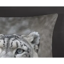 Muller Textil Chief Wendebettwäsche Leopard grau 135 x 200 cm + 2 x 80 x 80 cm