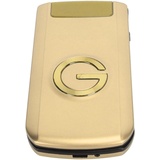 G9000 2G Klapphandy für Senioren, Entsperrtes GSM Handy mit Großer Taste, Lautem Ton, Dual SIM, Blendender Lichteffekt (Gold)