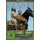 Karl May - Collection 1 [3 DVDs]