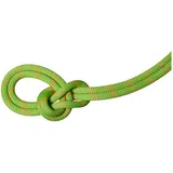 Mammut 9.8 Crag Recycled Classic Rope Einfachseil 40 m Grün
