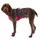 Ruffwear Flagline Hundegeschirr alpenglow pink L/XL