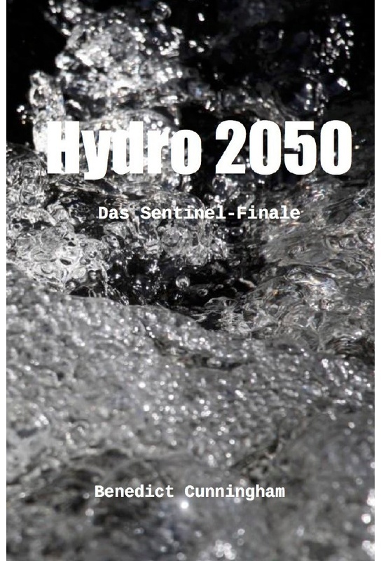 Sentinel / Hydro 2050 - Das Sentinel-Finale - Benedict Cunningham, Kartoniert (TB)