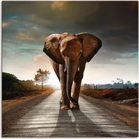ARTland Artland, Bilder, Ein Elefant läuft auf der Strasse