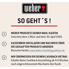 Weber Spirit E-210 schwarz 1500833