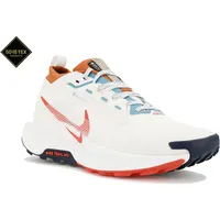 Nike Pegasus Trail 5 Gore-Tex Herren "Tour du Mont-Blanc"-Pack
