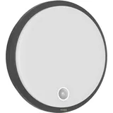 Oktaplex lighting Oktaplex Plato LED Außenlampe mit Bewegungsmelder und Dauerlichtschalter 3000K 1010lm IP65 Anthrazit