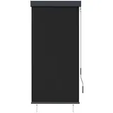 vidaXL Außenrollo 80 x 250 cm Anthrazit