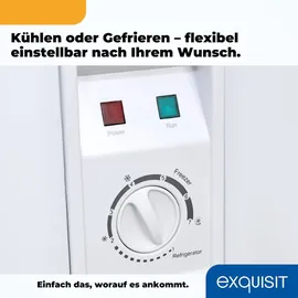 Exquisit Gefriertruhe, Kombigerät, 2-in-1, 99 Liter, Tiefkühltruhe, Kühlen, 4-Sterne-Gefrieren, Gefriertruhe klein, Toplader, Gefrierkorb, GT100-050E weiss