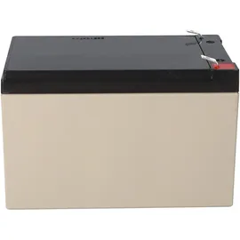 EnerSys Genesis Np12-12wt 12v 12ah Faston 6,3mm Agm Blei Akku