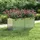 vidaXL Garten-Hochbeet verzinkter Stahl rechteckig 160 x 80 x 77 cm Silber 