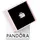 Pandora Rosa Reisetasche Silber 798063EN124