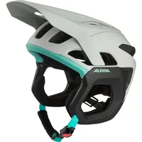 Alpina Root MIPS Grau Modell 2025