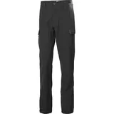 HELLY HANSEN Hh Qd Cargo Pant Regular Grau 36
