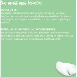 Puremetics Shampoo-Pulver Teebaum Rosmarin 50 g