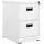 vidaXL Aktenschrank Weiß 46x62x72,5 cm Stahl