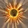 s`luce Sonne (728690)