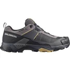 Salomon X Ultra 5 GORE-TEX Herren Grau/Silber 44.2/3