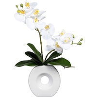 Kunstorchidee Phalaenopsis Orchidee Phalaenopsis, Creativ green, Höhe 35 cm, in Keramikvase weiß