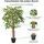 Homescapes Kunstbaum Ficus Benjamini 120 cm,