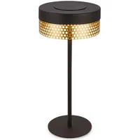 Briloner Booha Schwarz-Gold