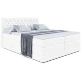 altdecor Boxspringbett mit Matratze, Topper, Polsterbett mit, Bettkasten... BOXI8 KING - 140x200 - Weiß Kunstleder