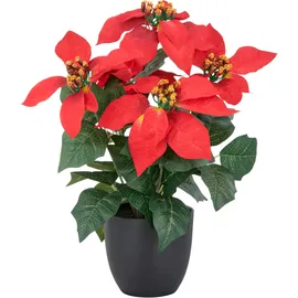 Creativ green Kunstblume CREATIV GREEN "Weihnachtsstern", rot, H:23cm, Polyester, Kunstpflanzen, mit üppiger Blütenpracht