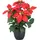 Creativ green Kunstblume CREATIV GREEN "Weihnachtsstern", rot, H:23cm, Polyester, Kunstpflanzen, mit üppiger Blütenpracht