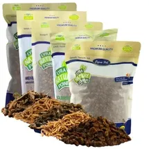Lyra Pet Lyra Pet® Insekten Probier Mix getrocknet