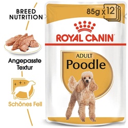 Royal Canin Poodle Adult in Soße Hundefutter nass für Pudel 85g