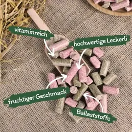 Lyra Pet Karotte-Himbeer-Kräuter Leckerli 15 kg