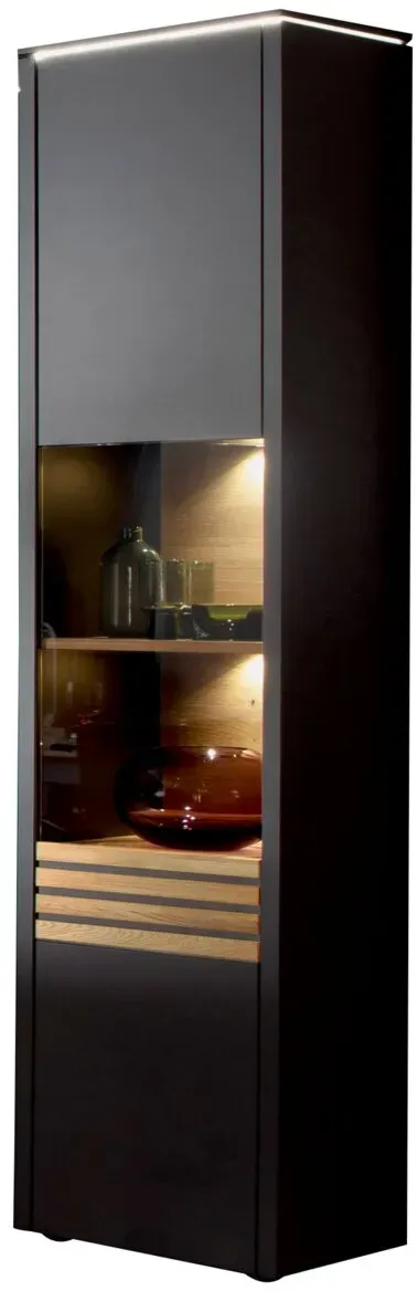 Venjakob Vitrine GAME - B/H/T ca. 47,00x208,00x43,00